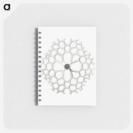 アートメモ帳-Vintage marine life illustration on white background - エルンスト ヘッケル Memo.