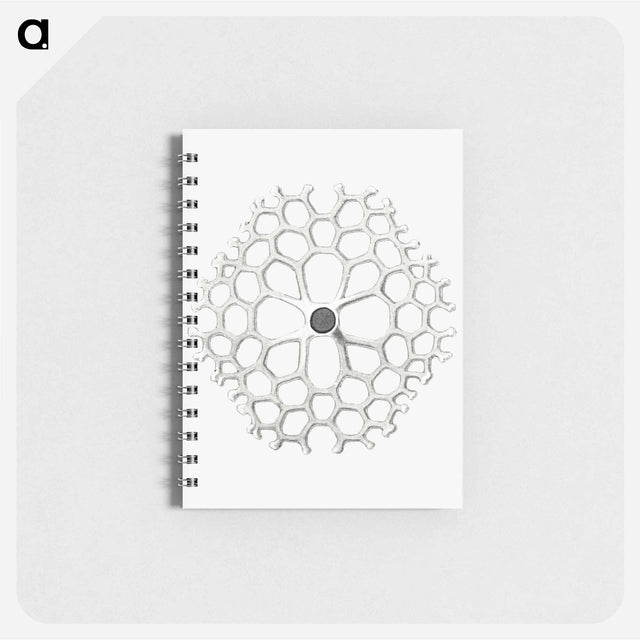 アートメモ帳-Vintage marine life illustration on white background - エルンスト ヘッケル Memo.