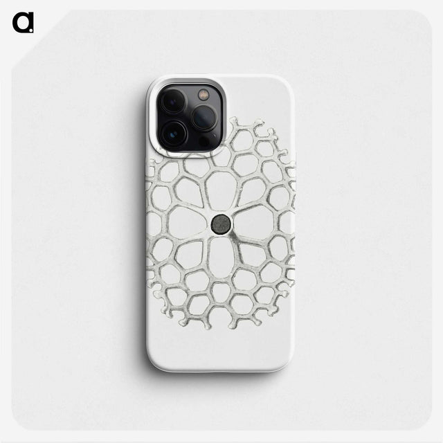 3-15_Ernst-Haeckel_phone