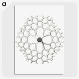 3-15_Ernst-Haeckel_picture-crop