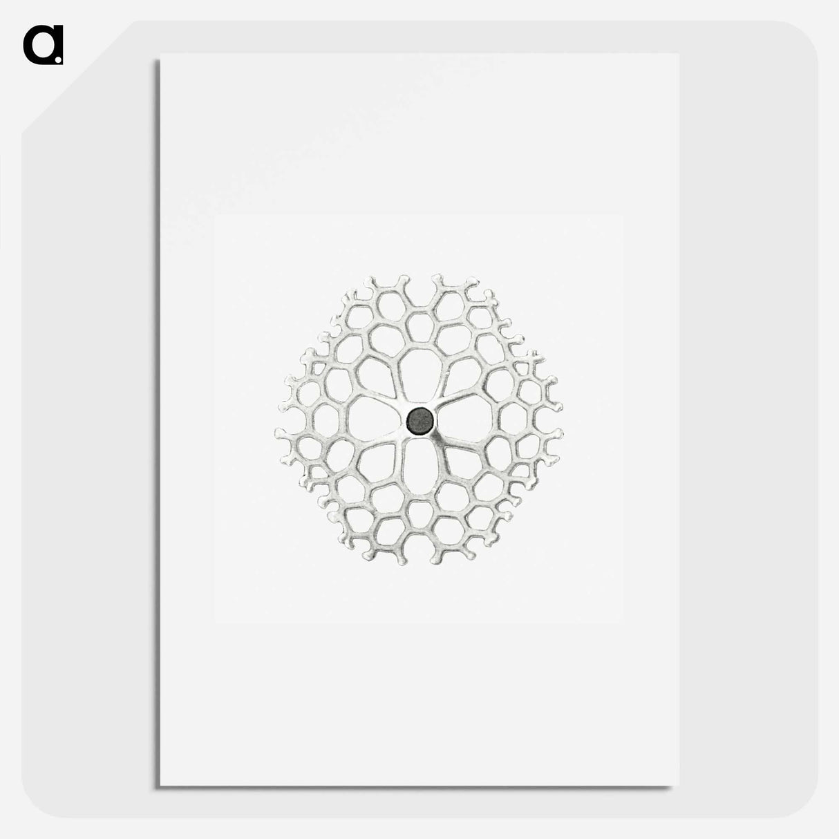 Vintage marine life illustration on white background - エルンスト ヘッケル Poster.