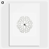 Vintage marine life illustration on white background - エルンスト ヘッケル Poster.
