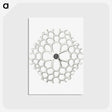 3-15_Ernst-Haeckel_postcard