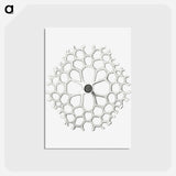 アートポストカード-Vintage marine life illustration on white background - エルンスト ヘッケル Postcard.