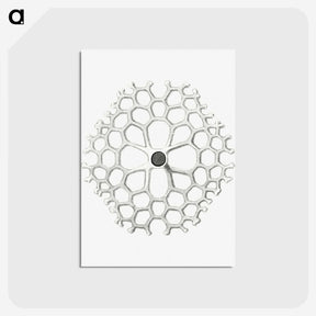 3-15_Ernst-Haeckel_postcard