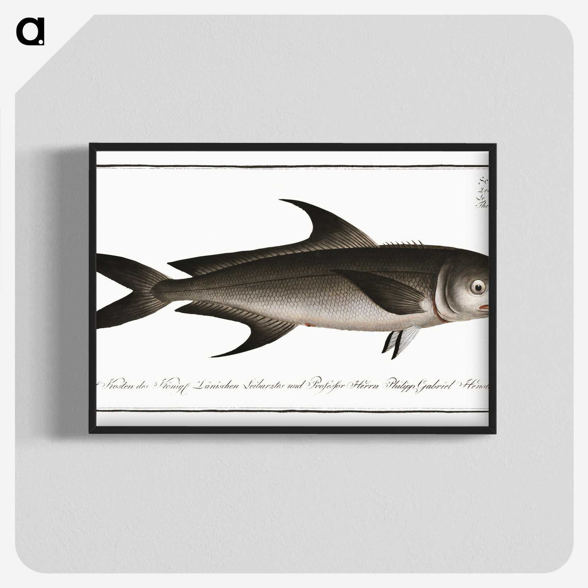 3-15_Ichtyologie-ou-Histoire-naturelle_blk-crop
