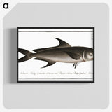 3-15_Ichtyologie-ou-Histoire-naturelle_blk-crop