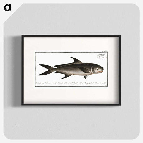 3-15_Ichtyologie-ou-Histoire-naturelle_blk