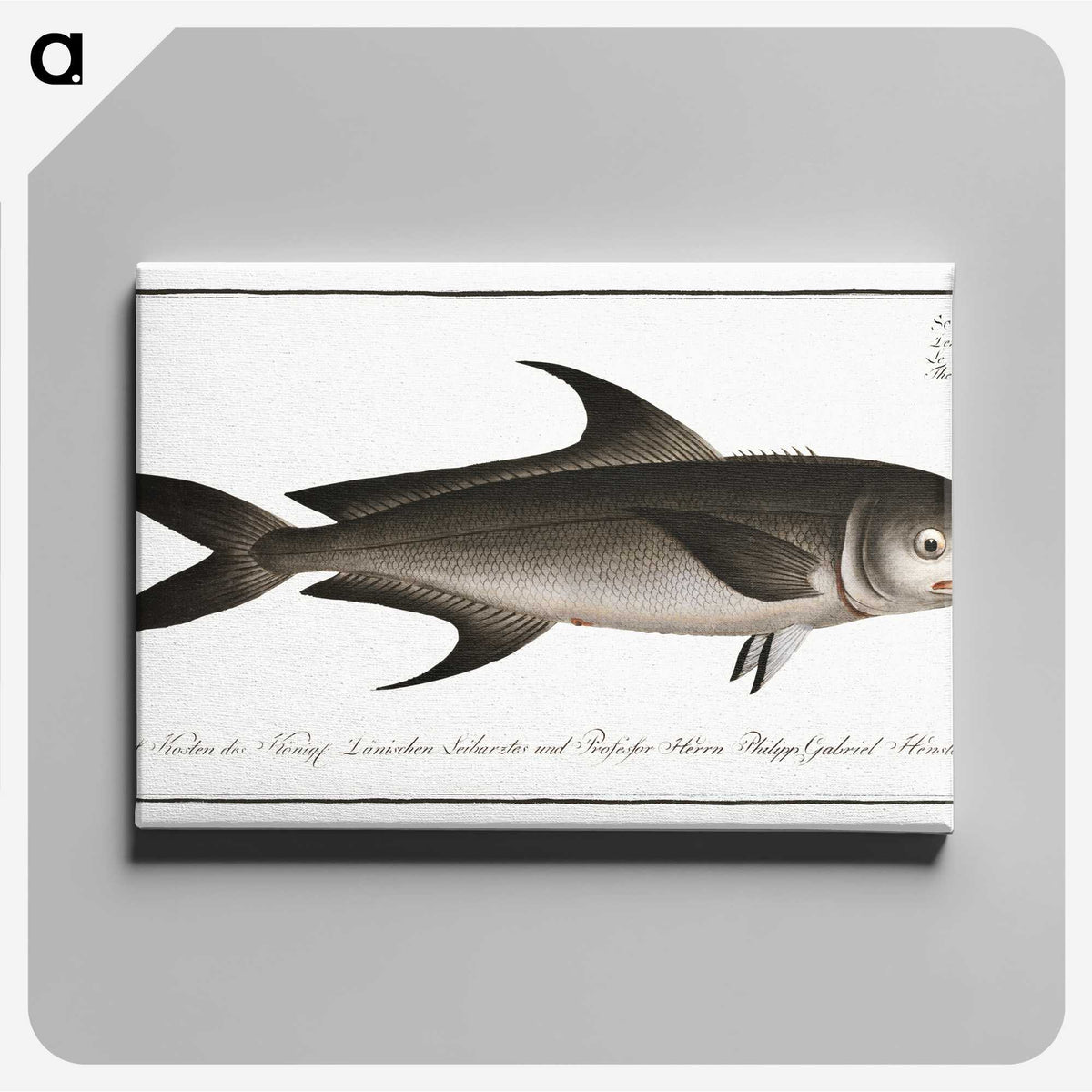 3-15_Ichtyologie-ou-Histoire-naturelle_canvas