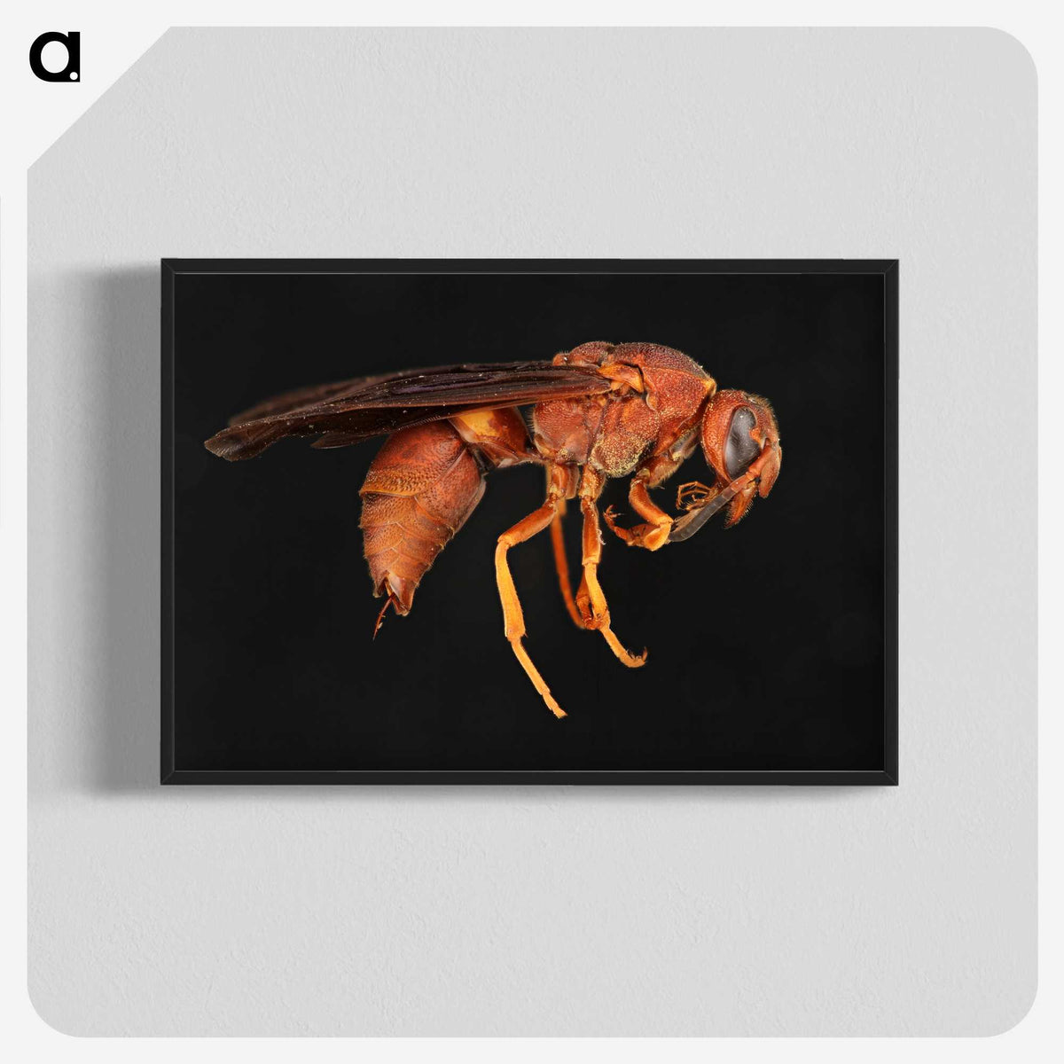 3-15_Insects-Unlocked-Project_blk-crop