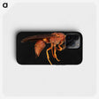 3-15_Insects-Unlocked-Project_phone