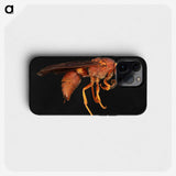 3-15_Insects-Unlocked-Project_phone