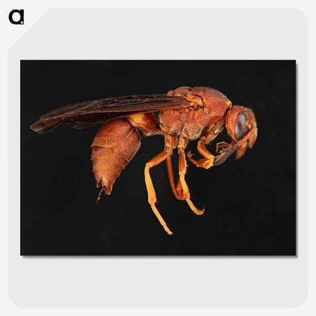 3-15_Insects-Unlocked-Project_picture-crop