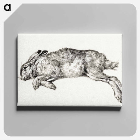 アートパネル-Dead hare - ジャン ベルナール Canvas.
