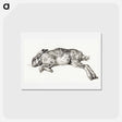 アートポストカード-Dead hare - ジャン ベルナール Postcard.