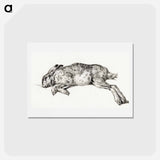 アートポストカード-Dead hare - ジャン ベルナール Postcard.