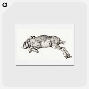 アートポストカード-Dead hare - ジャン ベルナール Postcard.