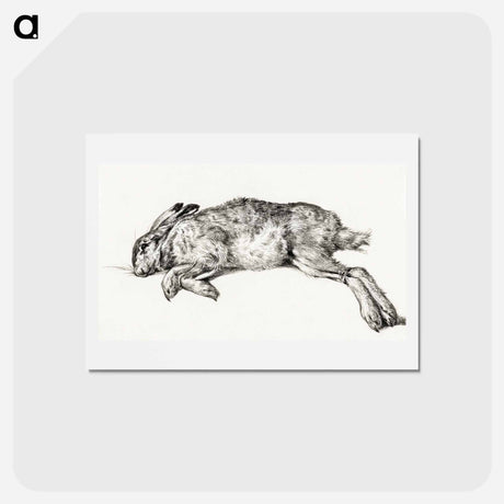 アートポストカード-Dead hare - ジャン ベルナール Postcard.
