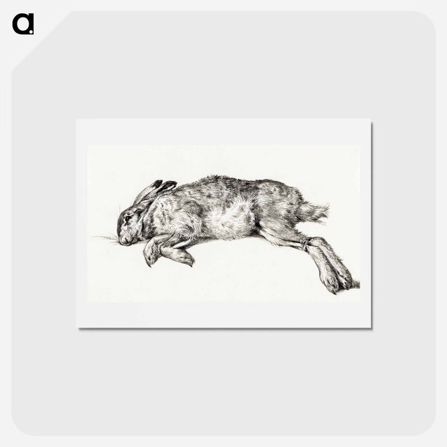 アートポストカード-Dead hare - ジャン ベルナール Postcard.