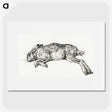 3-15_Jean-Bernard_picture