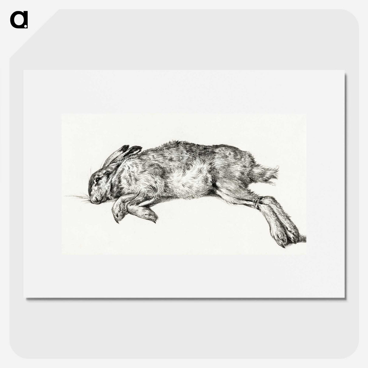 3-15_Jean-Bernard_picture