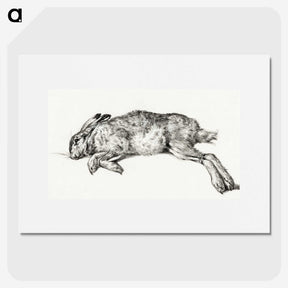 3-15_Jean-Bernard_picture