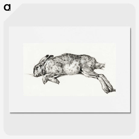3-15_Jean-Bernard_picture