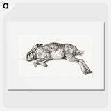 Dead hare - ジャン ベルナール Poster.