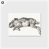 アートポストカード-Dead hare - ジャン ベルナール Postcard.