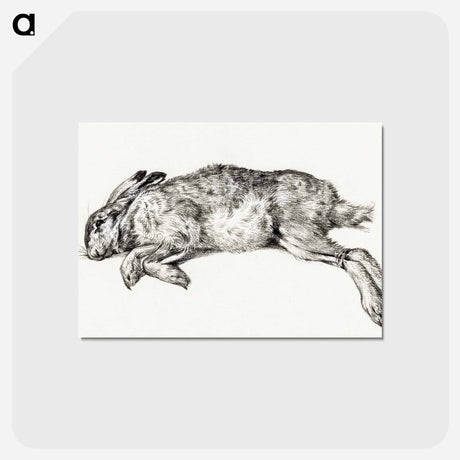 アートポストカード-Dead hare - ジャン ベルナール Postcard.