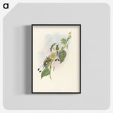 3-15_John-Gould_blk-crop