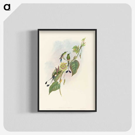 3-15_John-Gould_blk-crop