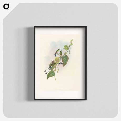 3-15_John-Gould_blk