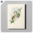 3-15_John-Gould_canvas
