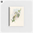 3-15_John-Gould_memo