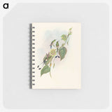 3-15_John-Gould_memo