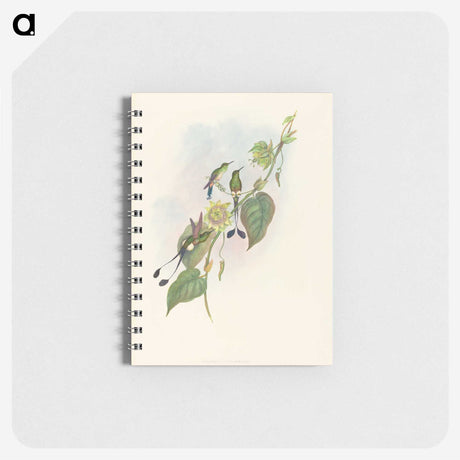 3-15_John-Gould_memo