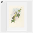 3-15_John-Gould_picture