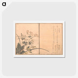 3-15_Kitagawa-Utamaro_hagaki