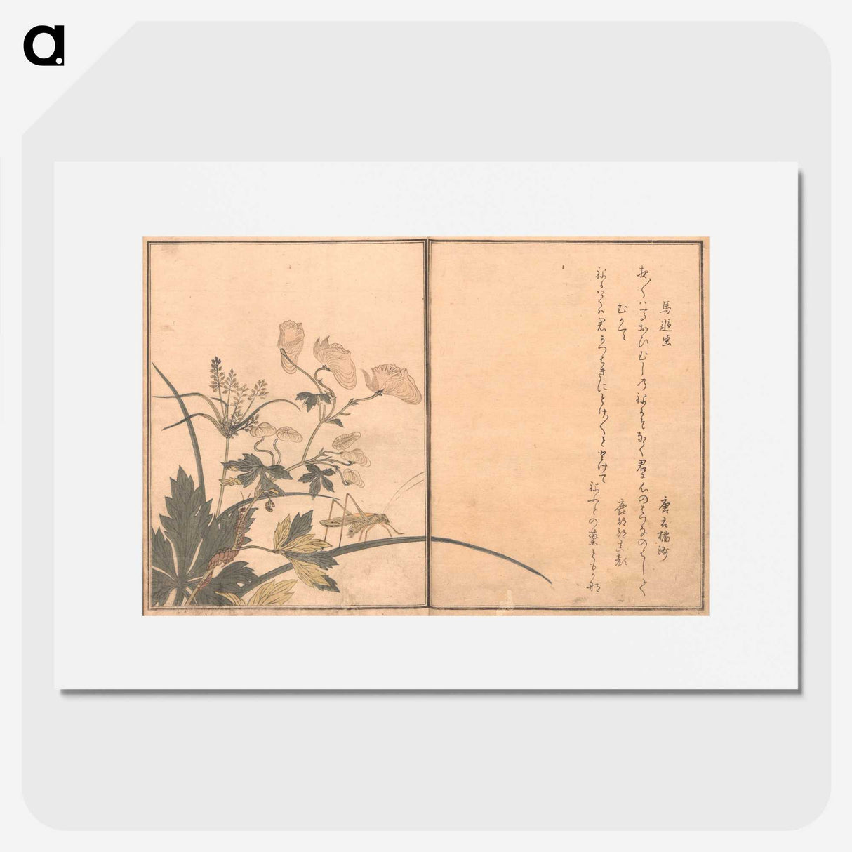 3-15_Kitagawa-Utamaro_picture