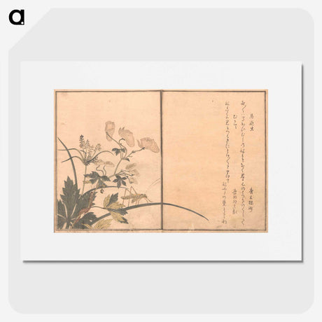 3-15_Kitagawa-Utamaro_picture