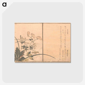 3-15_Kitagawa-Utamaro_postcard