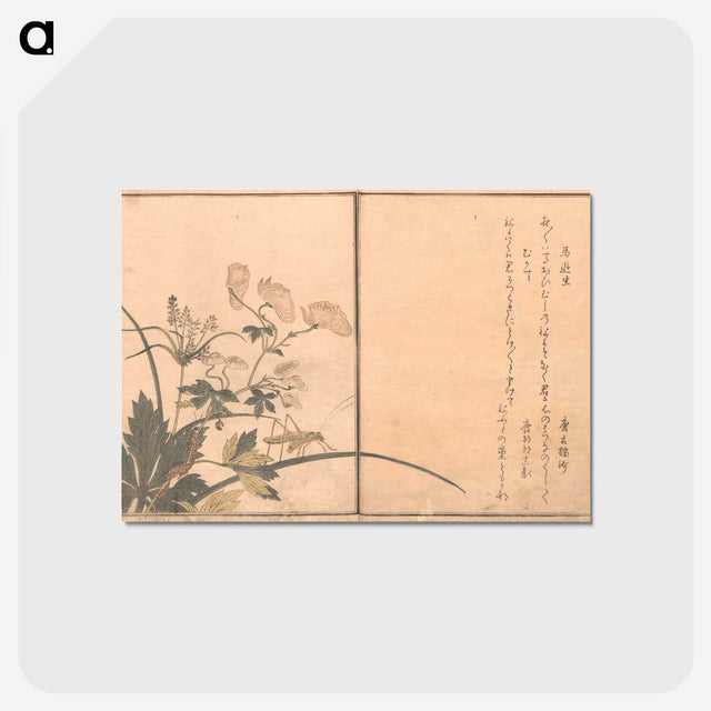 3-15_Kitagawa-Utamaro_postcard