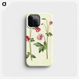 3-15_Maria-Sibylla-Merian_phone