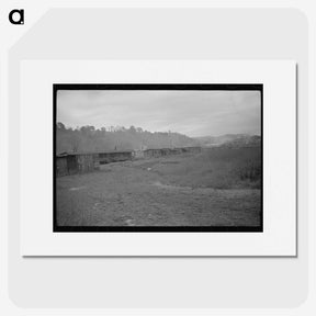 3-15_Marion-Post-Wolcott_picture
