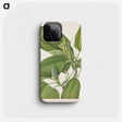 3-15_Mary-Vaux-Walcott_phone