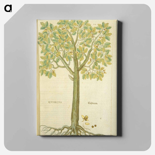 アートパネル-Eichbaum
 - 国立医学図書館 Canvas.