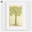 3-15_National-Library-of-Medicine_picture