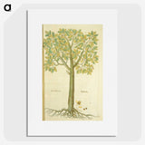 3-15_National-Library-of-Medicine_picture