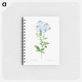 アートメモ帳-Plumbago caerulea - ピエール ジョゼフ ルドゥーテ Memo.